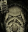 zaval13